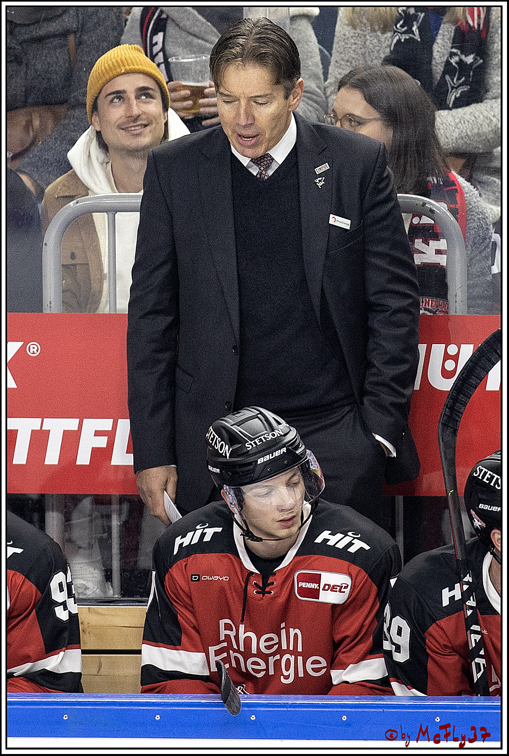 PENNY DEL;  Koelner Haie - Bietigheim Steelers; Koeln, 19.11.2021